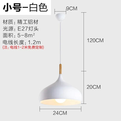 Nordic Creative Pendant Light